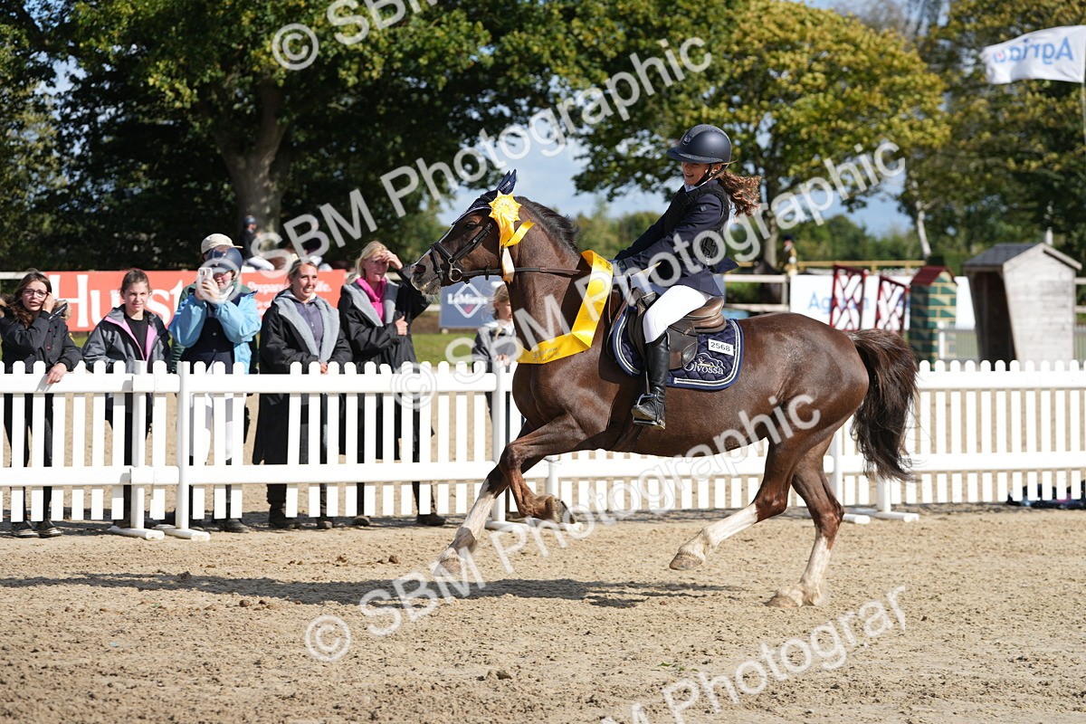 SBM_48636 - J7 - Junior Pony 60cm Championship