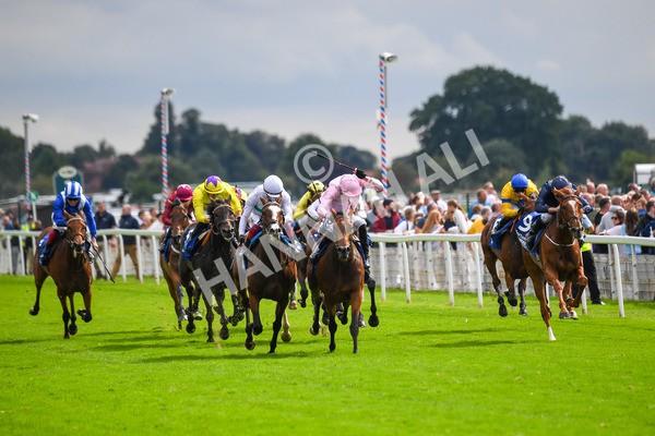 240823-Race 4-Warm Heart-0501 - Race 4 3.35pm Pertemps Network Yorkshire Oaks