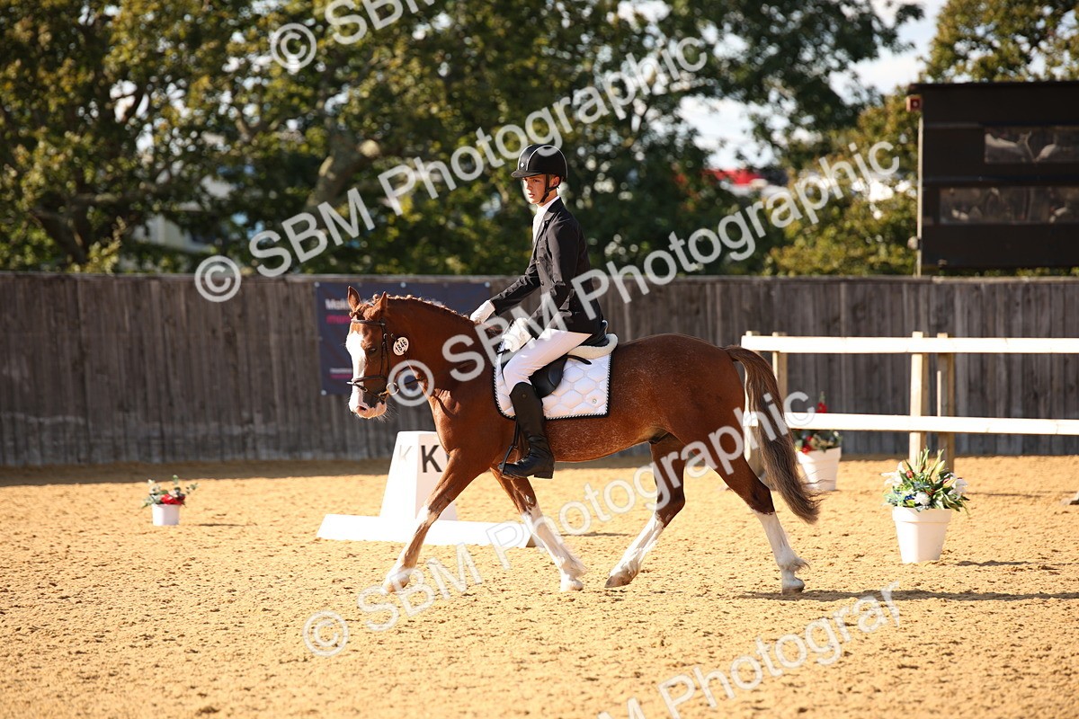 SBM_28264 - D11 - Small Tour Championship - Prelim 13