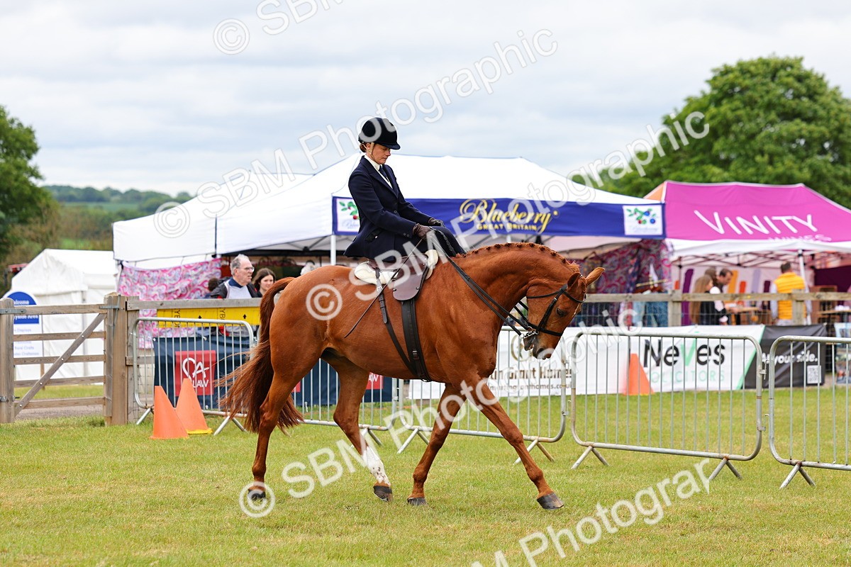SBM_02929 - Class 9-11 Side Saddle including LIHS Rising Star Ladies Show Horse
