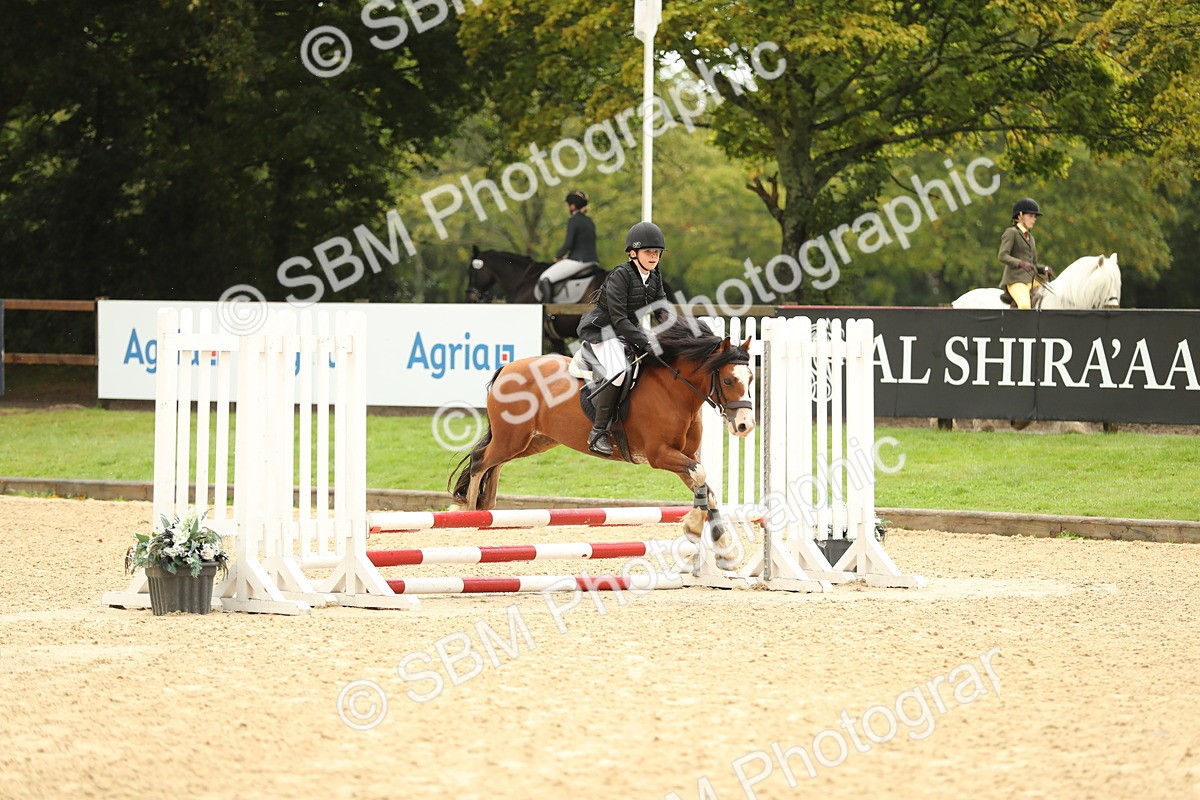 SBM_34257 - J60 Clear Round 50cm