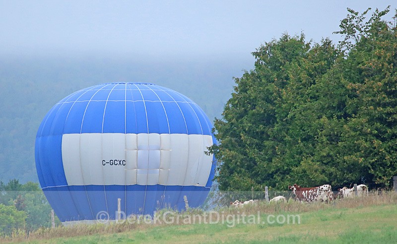 Atlantic International Balloon Fiesta Sussex New Brunswick Canada