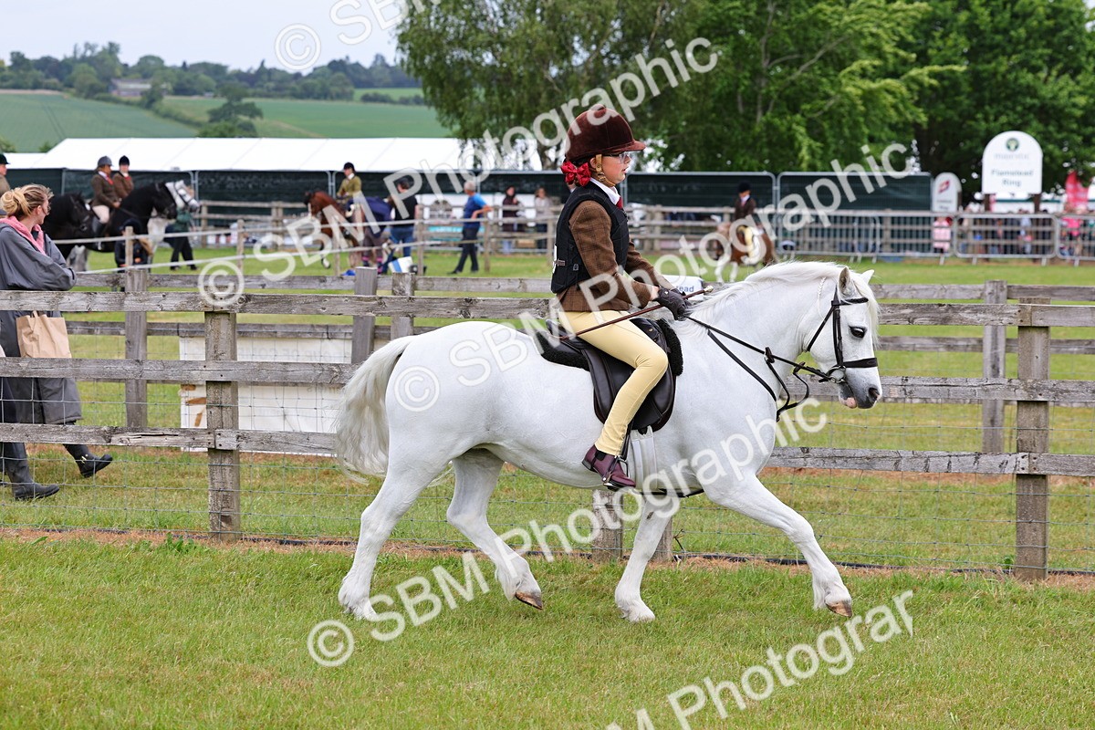 SBM_08549 - Class 42-43 - LIHS BSPS Heritage Working Sports Pony