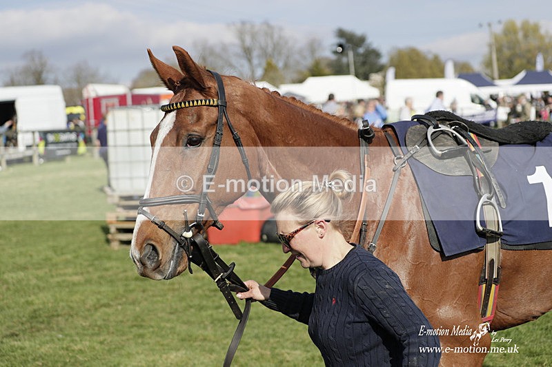 PtP 080423 695 - Dingley Races The Woodland Pytchley Hunt PtP 08/04/23