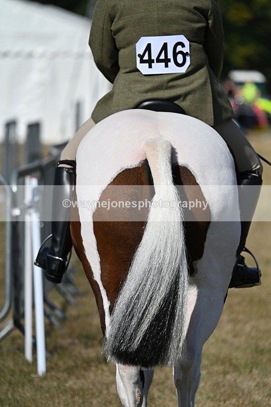 WJ7_3094 - Class 8 Ridden Tack & Turnout