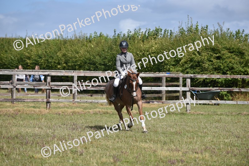 20250831-4000 - Class 12 - Working Hunter Pony 14.2hh and Under