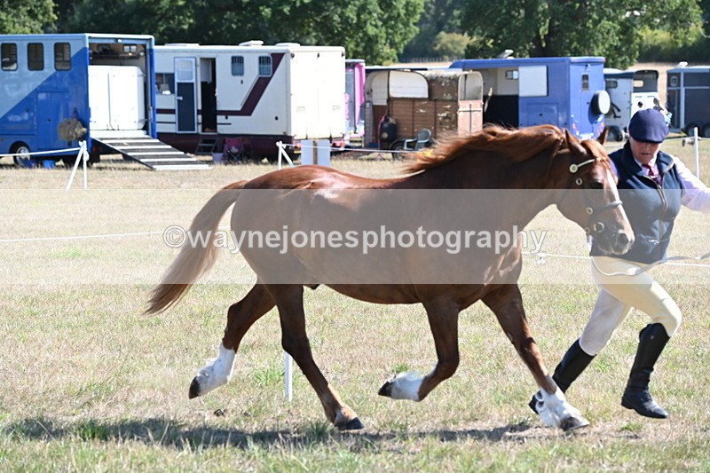 WJ6_4582 - Class 17 Mountain & Moorland