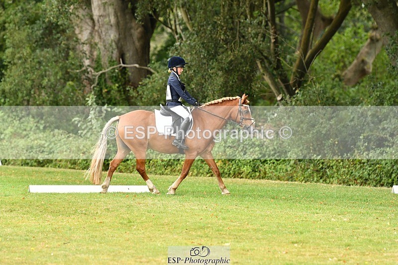 250820A-124511-05657 - 12 to 13.00