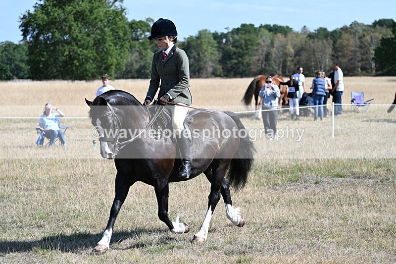 WJ7_3692 - Class 9 Mountain & Moorland Ridden