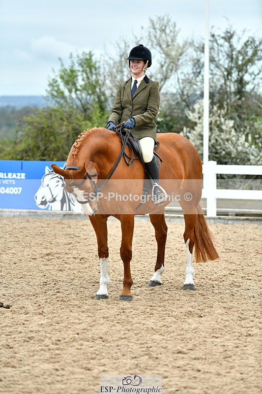 230416A-143217-05263 - Cls 74 Warmblood