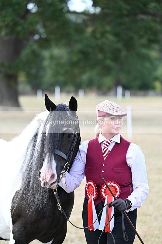 WJ7_8357 - In-hand Championship