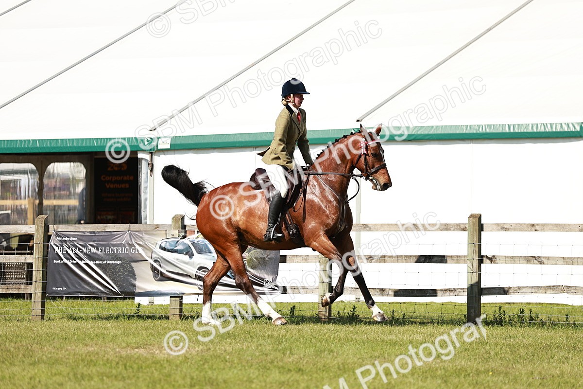SBM_18883 - Class 114 - RIHS & SEIB Open Working Show Horse