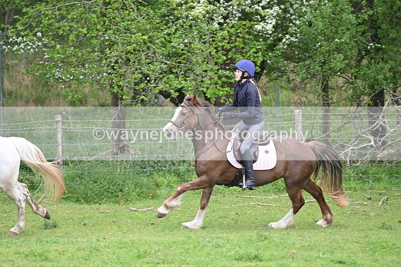 WJ6_3377 - A camera