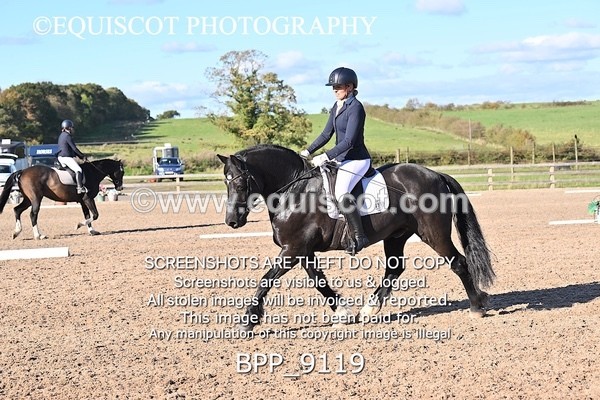 BPP_9119 - LONG ARENA