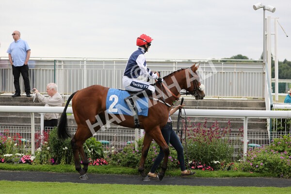 yr24072021r4-2 - Race 4 3.50pm Sky Bet Britain's Most Popular Online Bookmaker EBF Restricted Novice Stakes (Plus 10