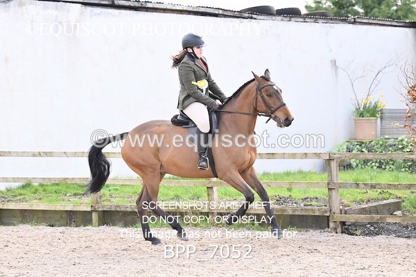 BPP_7052 - RING 1  (RIDDEN HORSES / IN HAND / VETERAN ETC)
