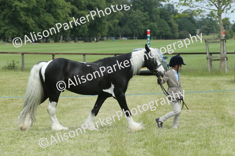 20260614-4255 - Class 18 - Best Junior Handler