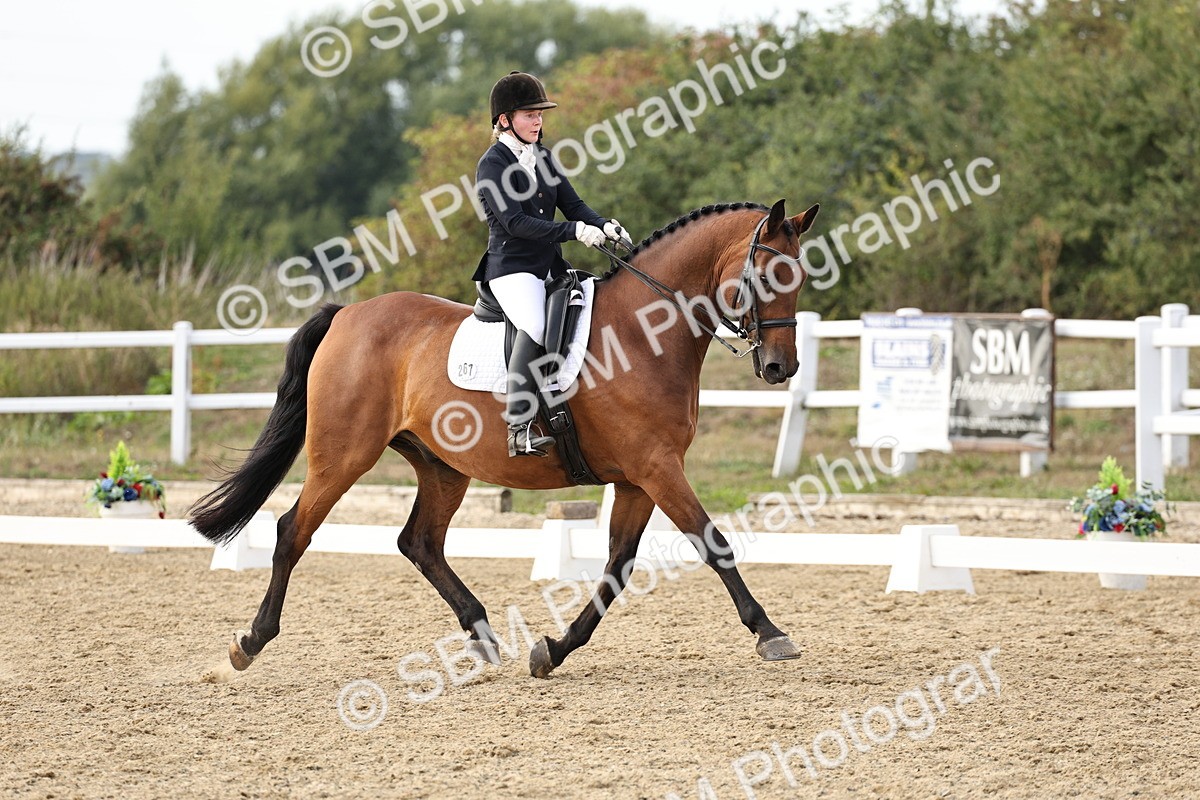 SBM_016319 - Class 10 - Advanced Medium 5