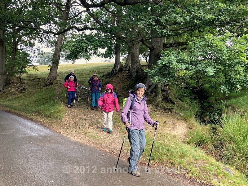 58 Stage Five.  Leaving Heathfield well behind us - The Nidderdale Way Collection