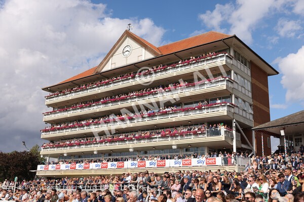 yr20082022r4-186 - Race 4 3.35pm Sky Bet Ebor