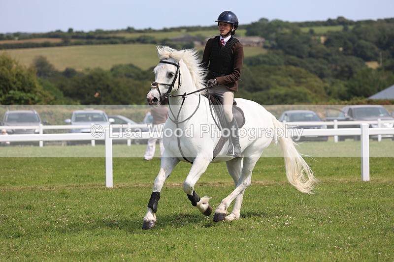JPP_3708 - Class 23: Working Hunter 80cm