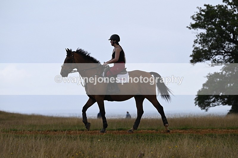 DSC_8345 - Time at Statue 13:52 to 14:33