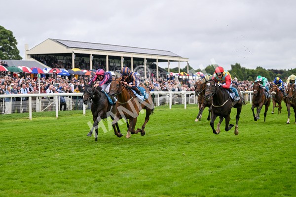 130724-Race 6-Zimmerman-7692 - Race 6 4.50pm John Smith's Stayers' Handicap