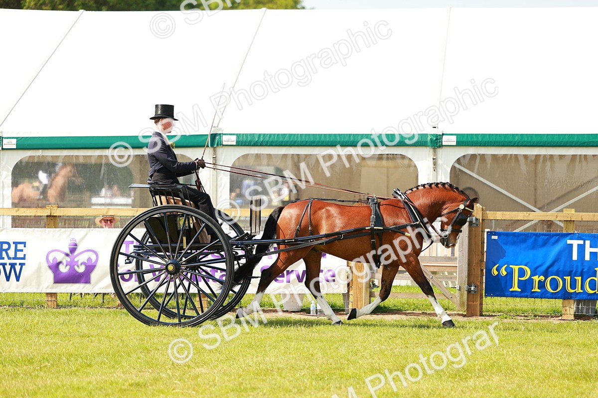 SBM_02730 - Class 2-4 - HOYS Private Driving
