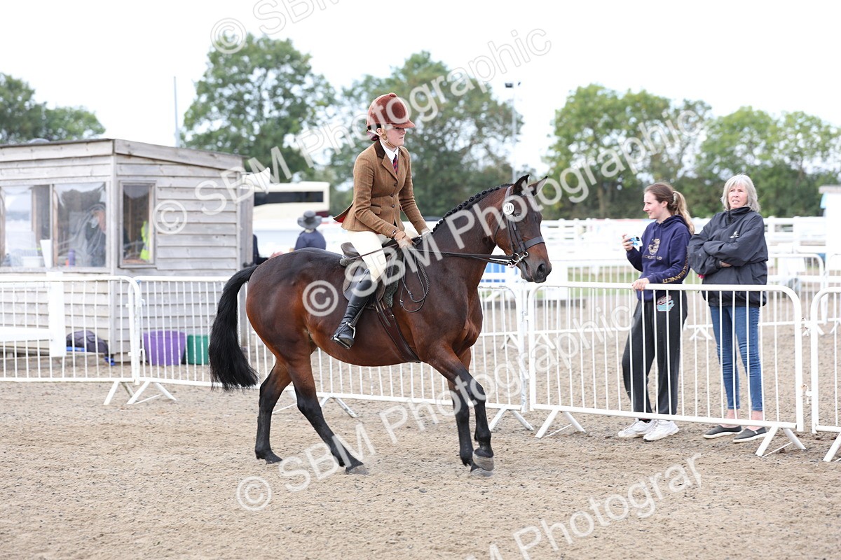 SBM_01480 - Class 52 - Ridden Veteran