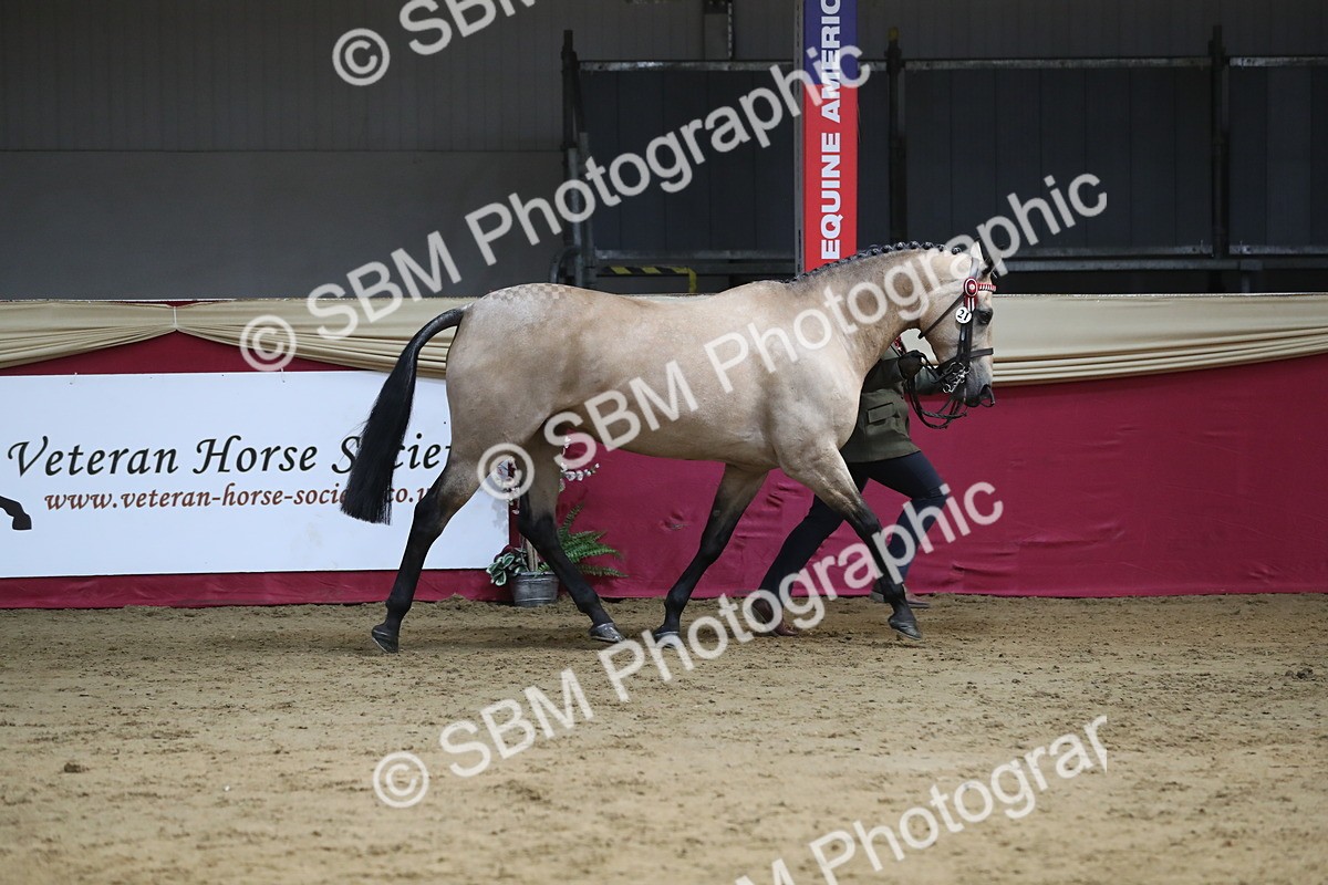 SBM_06519 - Regional IH Champ
