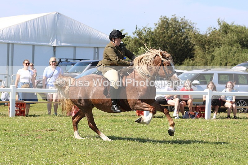 JPP_2088 - Cornish Combination Championship
