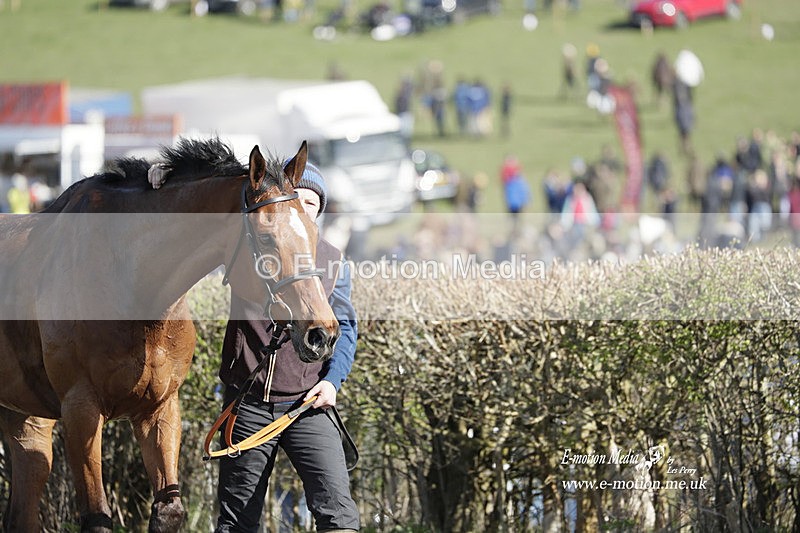PtP 100423 1179 - Old Berkshire Point-to-Point Lockinge 10/04/23