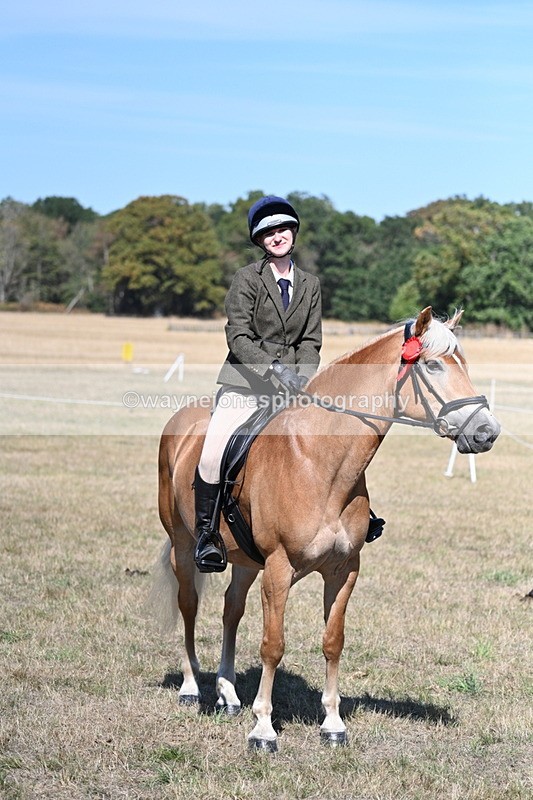 WJ7_1315 - Class 41 Prettiest Mare