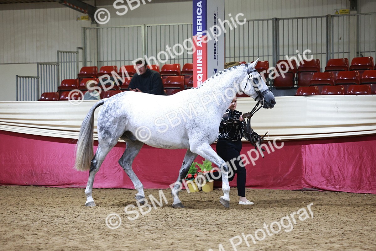 SBM_20323 - Class E - Best Turned Out Champ