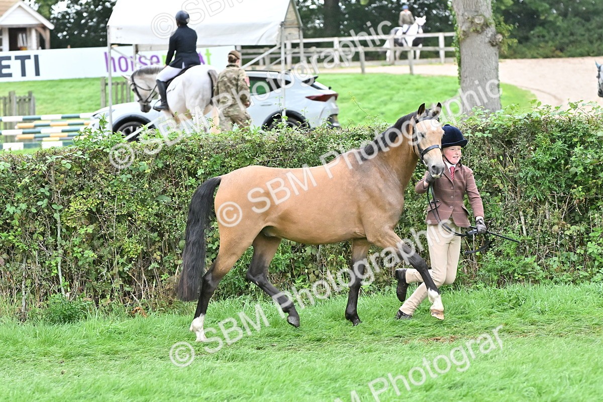 SBM_60965 - S48 - Mountain & Moorland In Hand Small Breeds