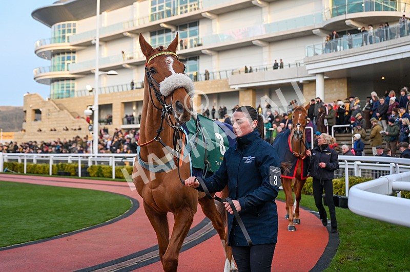 250125-Race 7-Gamesters Guy-3796 - Race 7