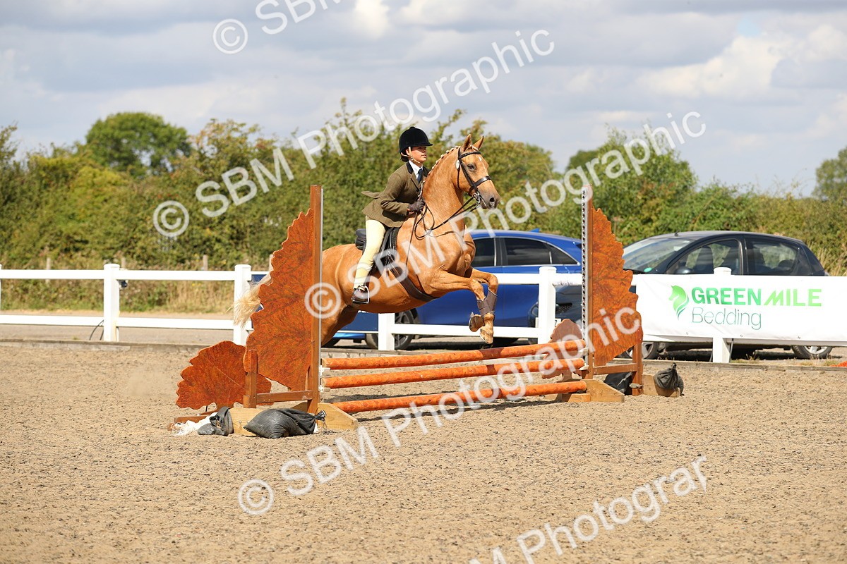 SBM_04202 - Class 46a Style & Performance 50cm (15-19)