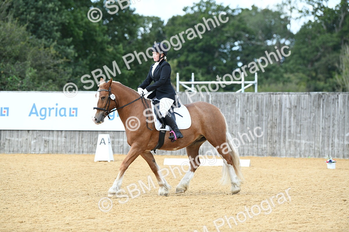 SBM_03102 - D7 Small Tour Championship Prelim 1