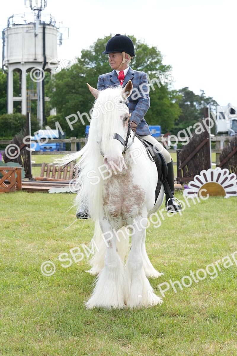 SBM_17327 - Class 107-108 - LIHS BSPS Performance Coloured Horse Pony