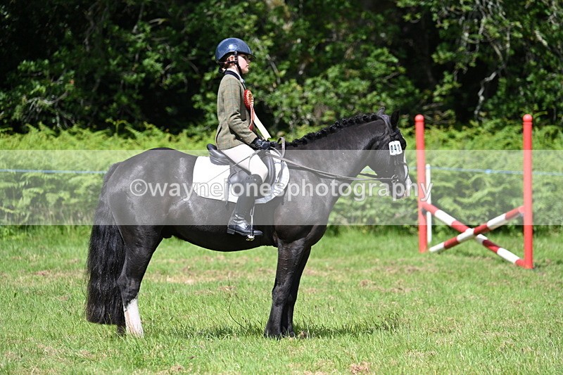WJ7_1867 - Class 9 Pony Club Pony