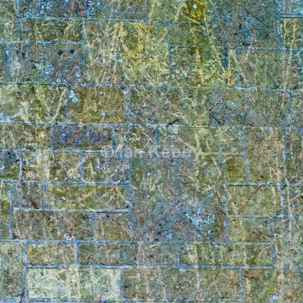  - Abstracts