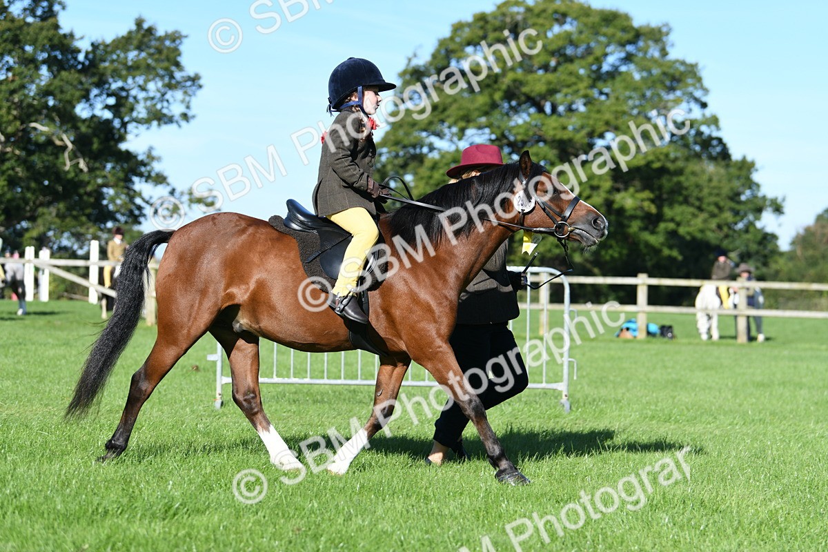 SBM_35521 - S17 - Condition & Turnout - Lead Rein