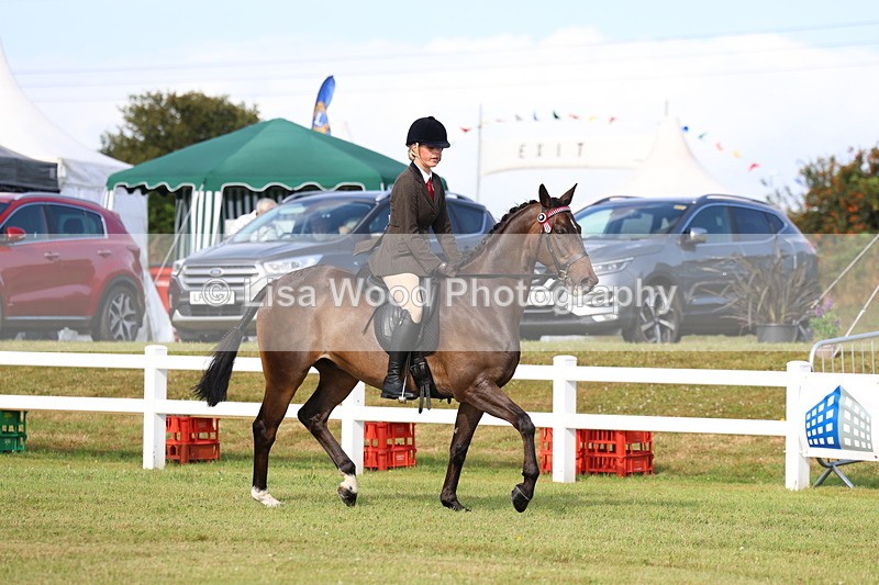 3E7A8255 - Class 2: Rising Star Large Hack/Riding Horse