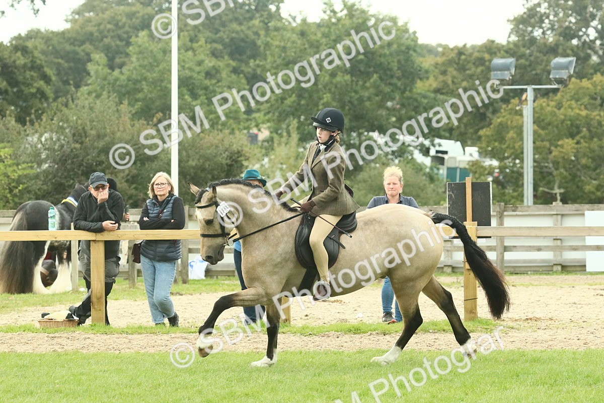 SBM_74008 - S 61 - Show Pony & Show Hunter Pony Ridden