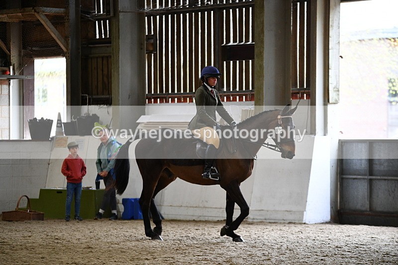 WJ5_7985 - Class 13 Ridden Part Breed