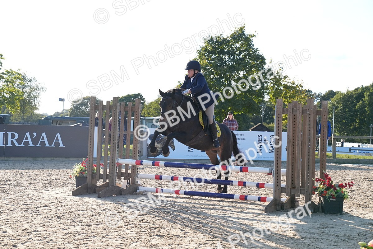 SBM_29909 - J44 - Super Speedy Scurry Open - 70cm