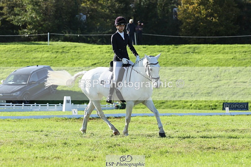 251024A-143939-14087 - F-479-Poppy.Wellman