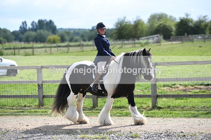 WJ5_7934 - Time 16:56 to 17:14