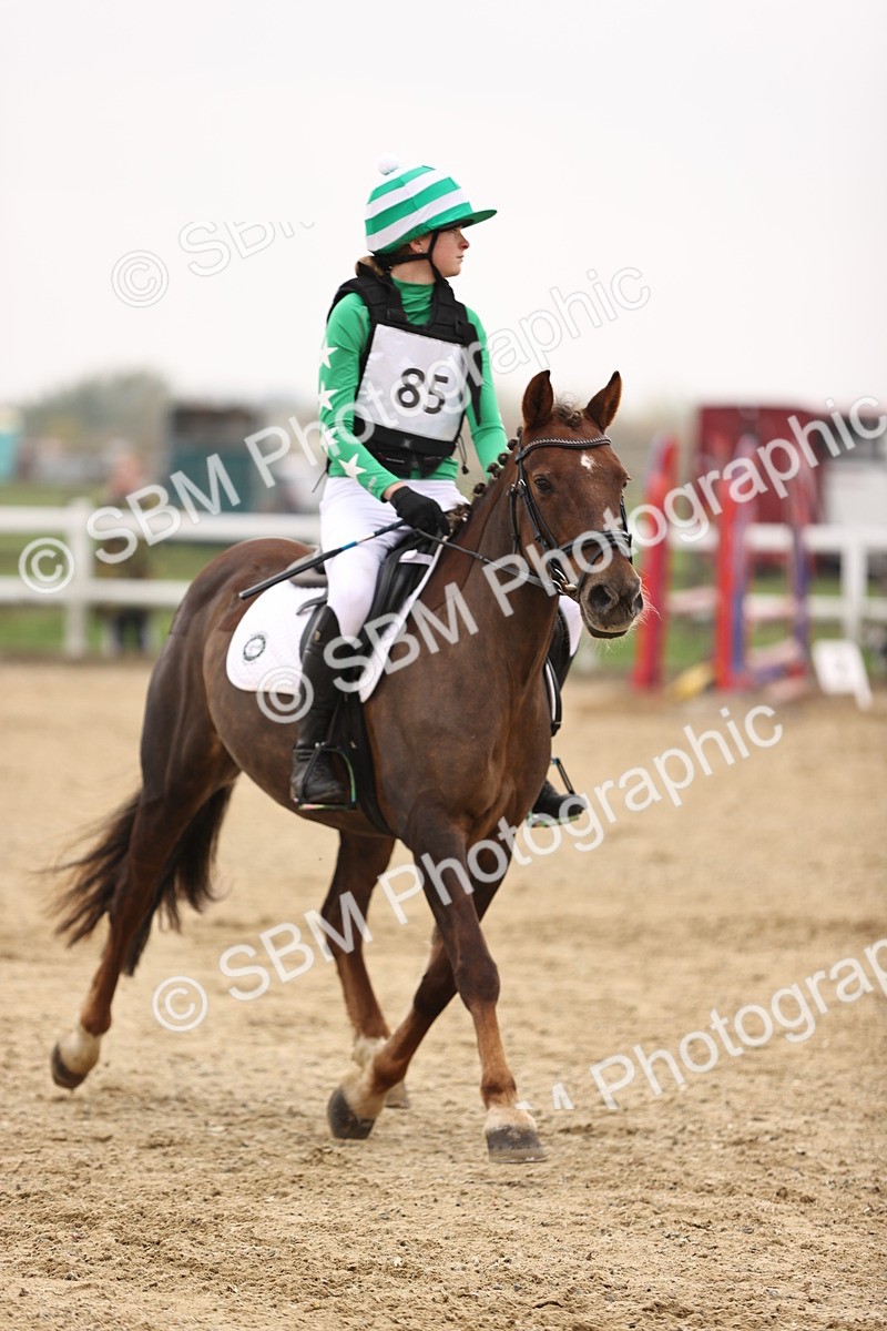 SBM_002508 - Class 2 - 80cm