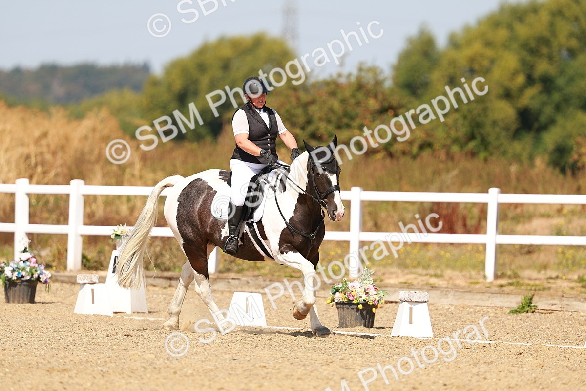 SBM_018271 - Class 9 - N5 Bronze 11.57.13.07
